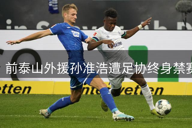 前泰山外援孙准浩遭足协终身禁赛处罚