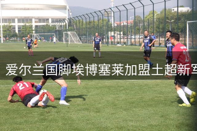 爱尔兰国脚埃博塞莱加盟土超新军埃尔祖鲁姆体育